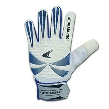 Goalie Gloves