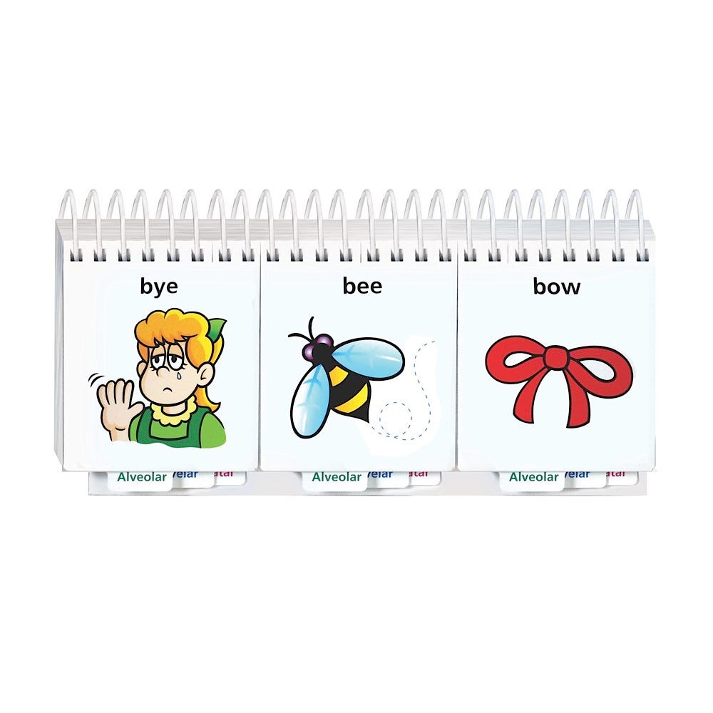 Word FLiPS Flip-Book