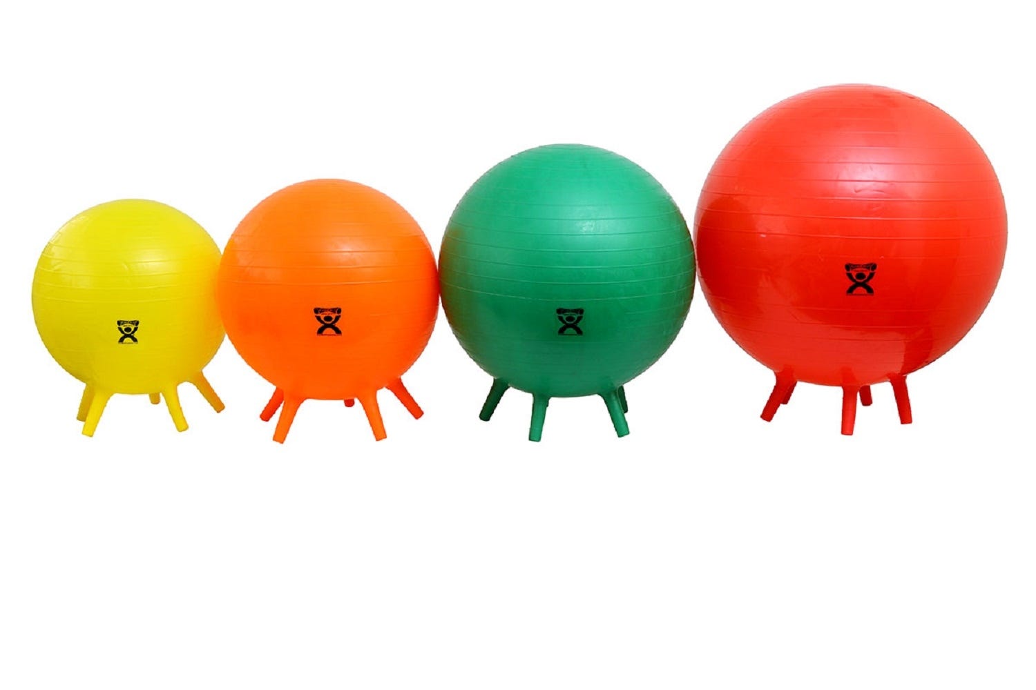 Exercise Ball with Stability Feet