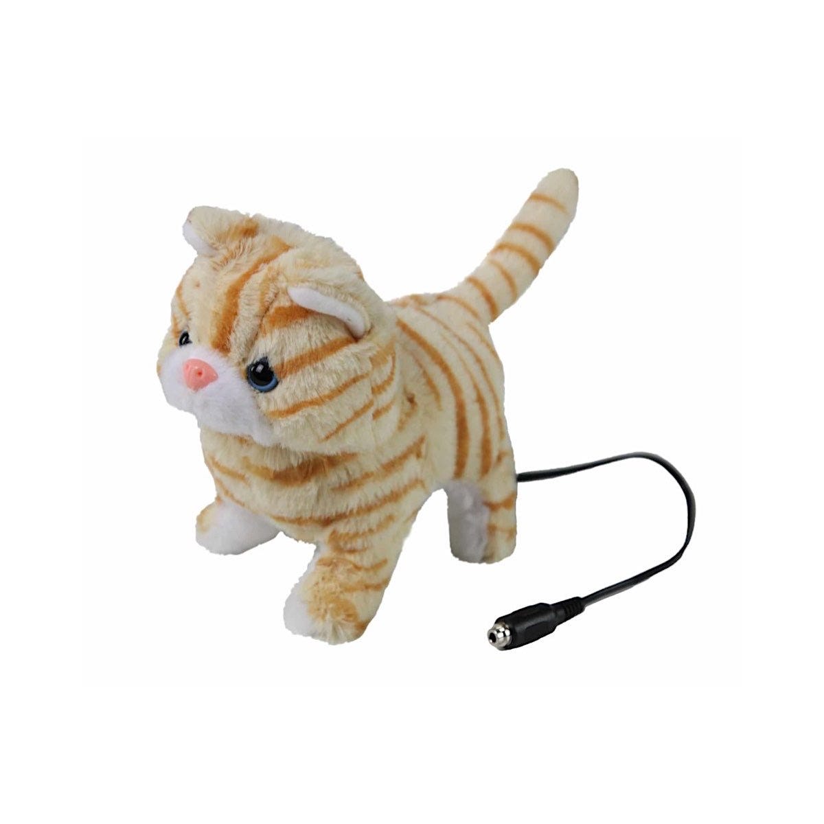 Switch Adapted Animals