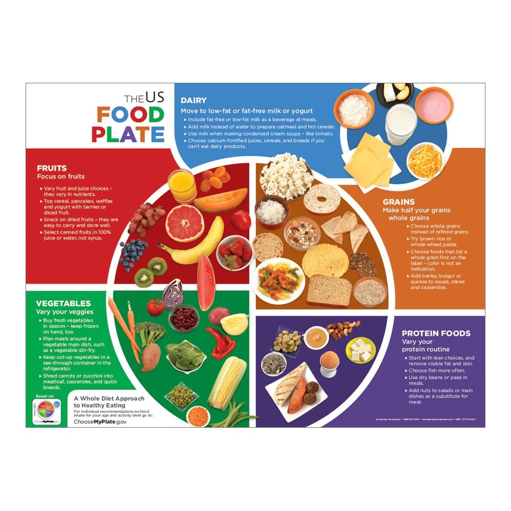 US Food Plate Handouts