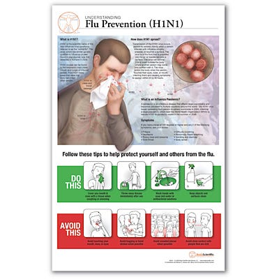 Understanding Flu Prevention (H1N1) Poster
