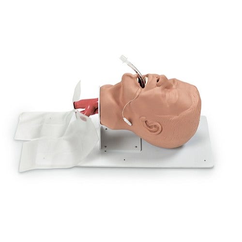 Simulaids Economy Adult Airway Management Trainer