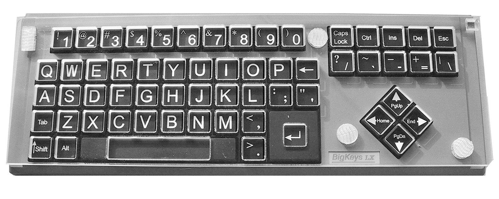 BigKeys LX Keyguard