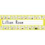 Color Name Plates thumbnail
