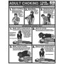 Choking Chart - Black/White Tear Pad, Adult, 50/pad thumbnail