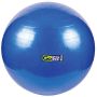 Go Fit® Premium Stability Balls thumbnail