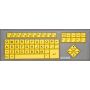 Yellow thumbnail