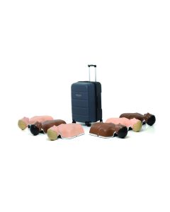 Little Anne Stackable Manikins and Kits