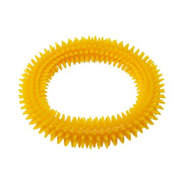 Textured Massage/Sensory Ring