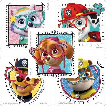 Front view of Paw Patrol Vision Stickers
