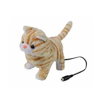 Switch Adapted Animals