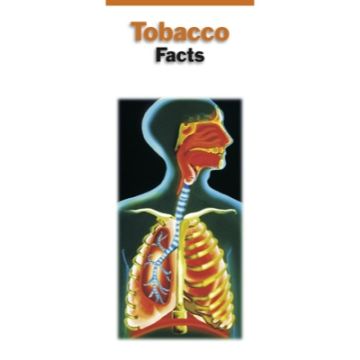 Tobacco Facts Pamphlet 