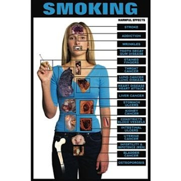 Harmful Effects Wall Charts