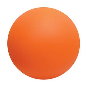 Vinyl Practice Ball Set