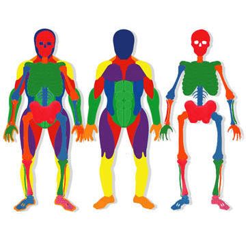 Poly Body Puzzles