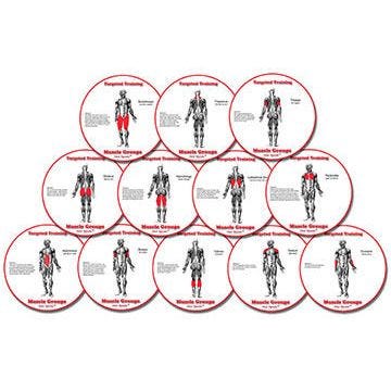 Muscle Group HotSpots™