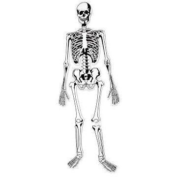 Skeleton Floor Puzzle
