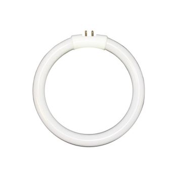 Dazor Fluorescent Bulb