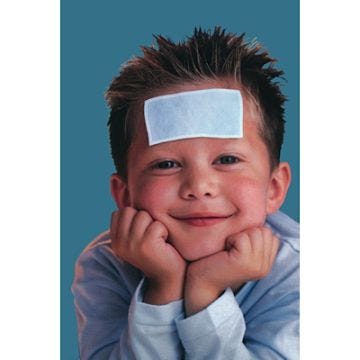Be Koool Ice Packs 4/Package