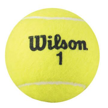 Wilson® Extra Duty Tennis Balls