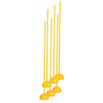 Coaching Sticks With Base