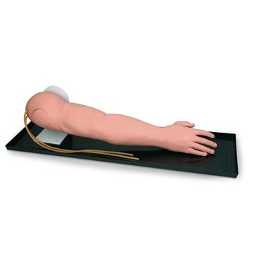 Deluxe IV Training Arm