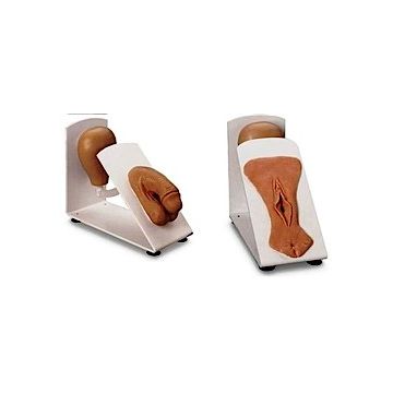 Male and Female Catheterization Trainers