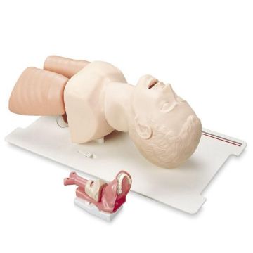 laerdal airway management trainer, laerdal intubation head