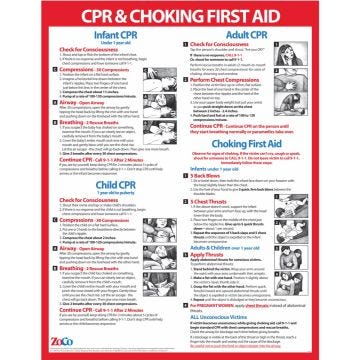 Front view of Laminated 18" x 24" Infant/Child CPR, Choking and First Aid Poster