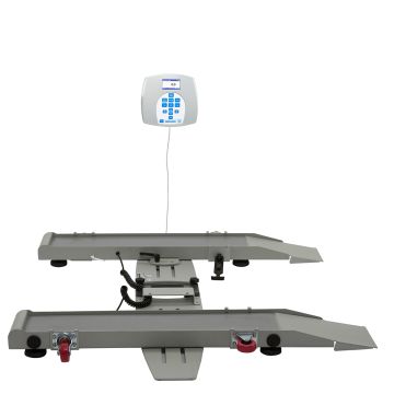 healthometer scale
