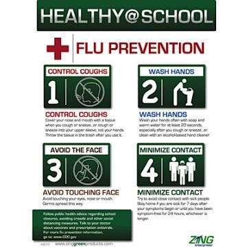 Healthy At School Flu Prevention Eco-Poster