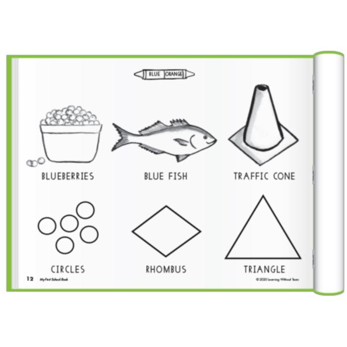 An open page within the my first school book for pre-k students of a coloring sheet displaying blueberries, a fish, traffic cone, circles, a rhombus, and triangle.