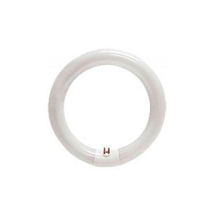 Illuminated Magnifier Replacement Bulbs Illuminated Magnifier Replacement Bulbs