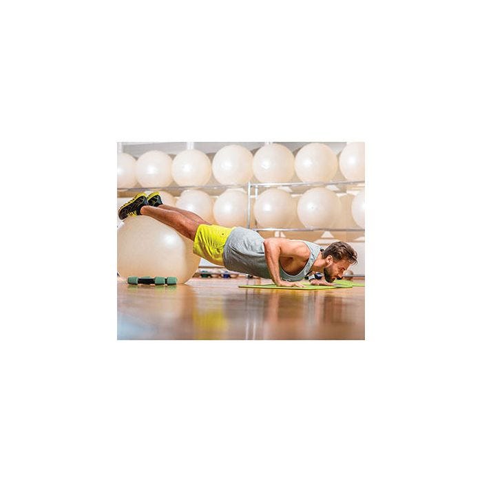 Go Fit® Premium Stability Balls