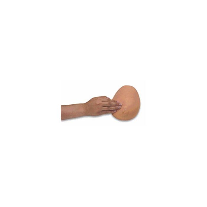 Breast Self Examination (BSE) Trainer Breast Self Examination (BSE) Trainer