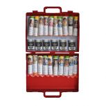 Allergy Emergency Kit Nurse's Office Case