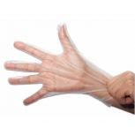 Food Safe Poly Clear Stretch Gloves