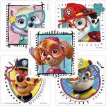 Paw Patrol Vision Stickers