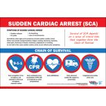 Sudden Cardiac Arrest Chain of Survival - 18"x24" Poster (Laminated)