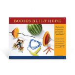 Bodies Built Here Vinyl Banner