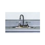 Stainless Steel Gooseneck Faucet and Strainer Basket