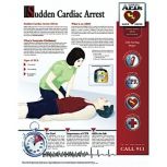 Sudden Cardiac Arrest Poster, 14" x 20", Laminated