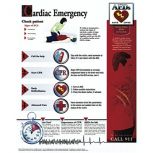 Cardiac Emergency Poster, 14" x 20", Laminated