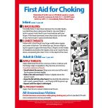 Infant/Child/Adult Choking First Aid Magnet, 5" x 7"