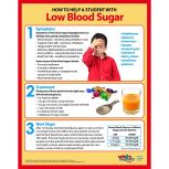 Diabetes and Low Blood Sugar Magnet, Laminated - 11" x 8.5"