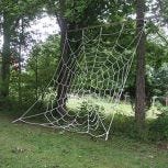 Spider Web Nets