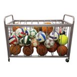 The Zone™ Ball Cart™