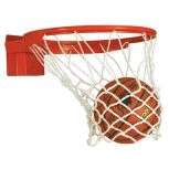 Bison® Baseline 180° Goals