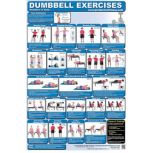 Dumbbell Exercise Posters